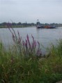 /album/a27-augustua-2008/a082008058-jpg/