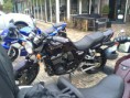 /album/a2012/a052012-016-jpg1/